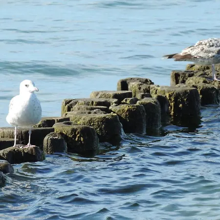 Ostseebrise Casa vacanze *