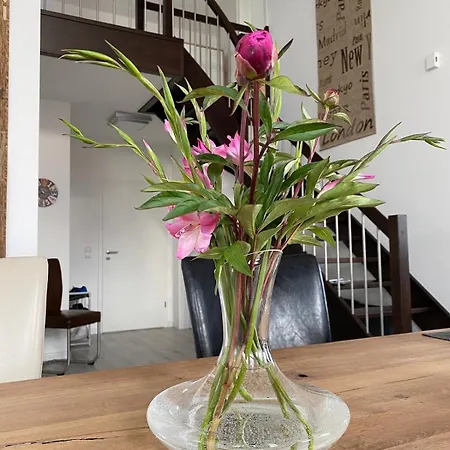 Casa vacanze Ostseebrise Trent